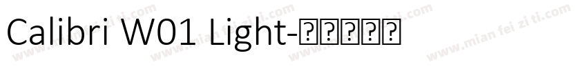 Calibri W01 Light字体转换
